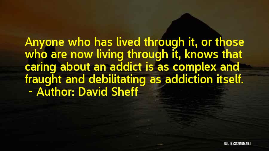 David Sheff Quotes: Anyone Who Has Lived Through It, Or Those Who Are Now Living Through It, Knows That Caring About An Addict