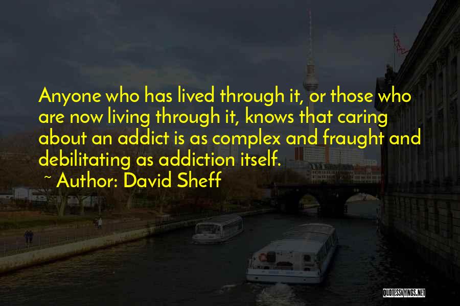 David Sheff Quotes: Anyone Who Has Lived Through It, Or Those Who Are Now Living Through It, Knows That Caring About An Addict