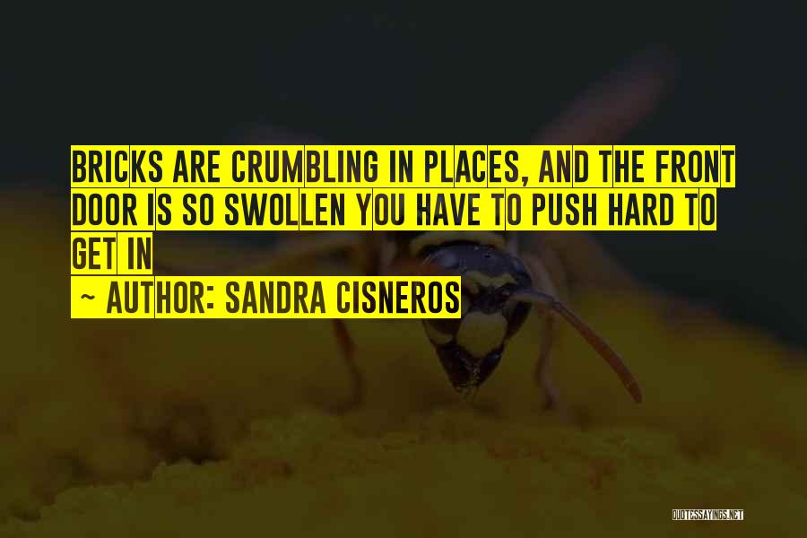 Sandra Cisneros Quotes: Bricks Are Crumbling In Places, And The Front Door Is So Swollen You Have To Push Hard To Get In