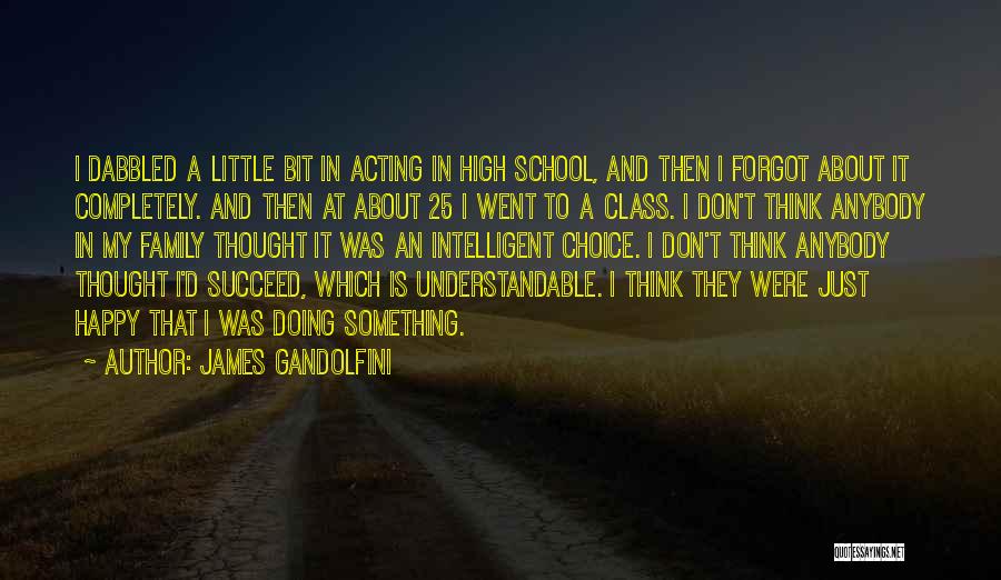 James Gandolfini Quotes: I Dabbled A Little Bit In Acting In High School, And Then I Forgot About It Completely. And Then At