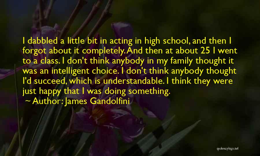 James Gandolfini Quotes: I Dabbled A Little Bit In Acting In High School, And Then I Forgot About It Completely. And Then At