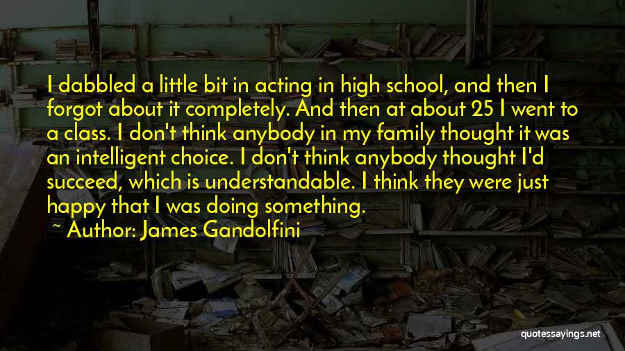 James Gandolfini Quotes: I Dabbled A Little Bit In Acting In High School, And Then I Forgot About It Completely. And Then At