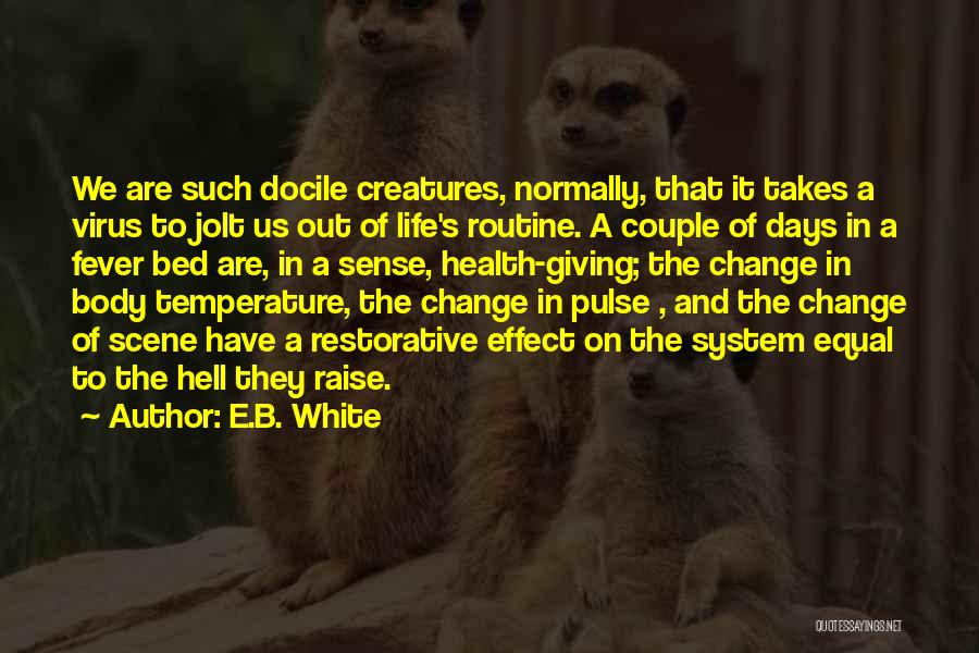 E.B. White Quotes: We Are Such Docile Creatures, Normally, That It Takes A Virus To Jolt Us Out Of Life's Routine. A Couple