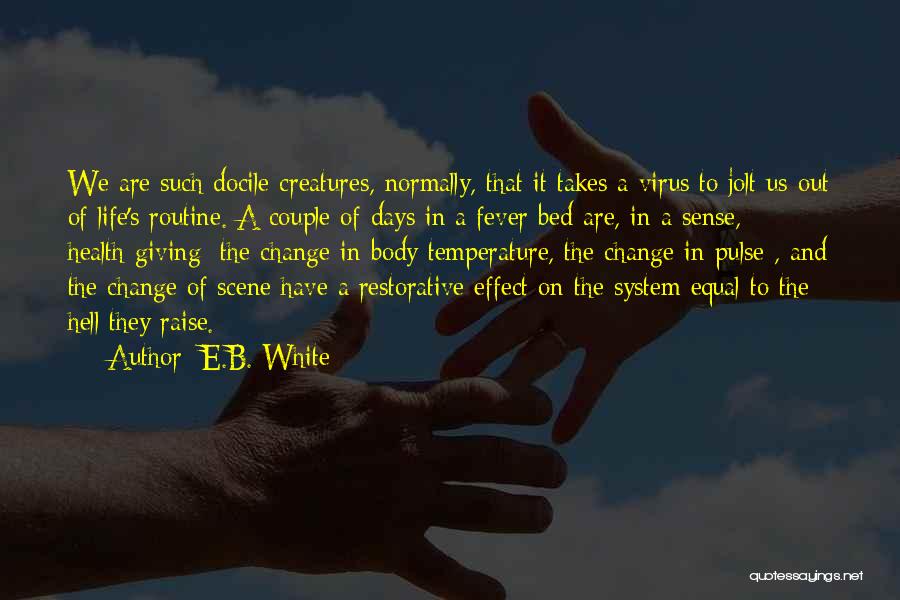 E.B. White Quotes: We Are Such Docile Creatures, Normally, That It Takes A Virus To Jolt Us Out Of Life's Routine. A Couple