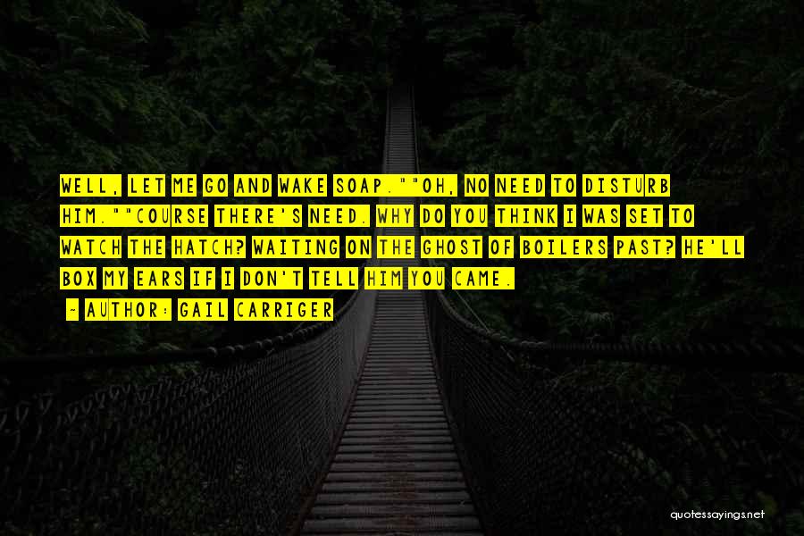 Gail Carriger Quotes: Well, Let Me Go And Wake Soap.oh, No Need To Disturb Him.course There's Need. Why Do You Think I Was