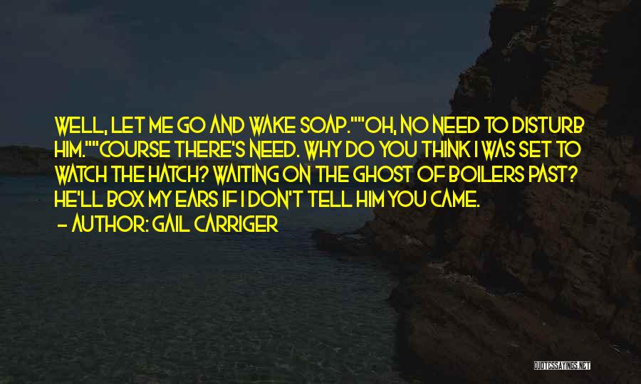 Gail Carriger Quotes: Well, Let Me Go And Wake Soap.oh, No Need To Disturb Him.course There's Need. Why Do You Think I Was