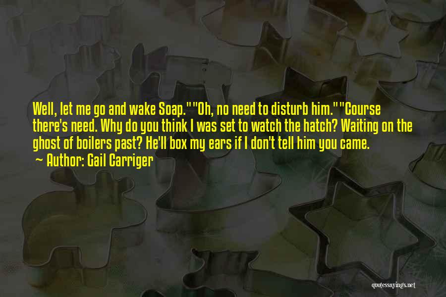 Gail Carriger Quotes: Well, Let Me Go And Wake Soap.oh, No Need To Disturb Him.course There's Need. Why Do You Think I Was