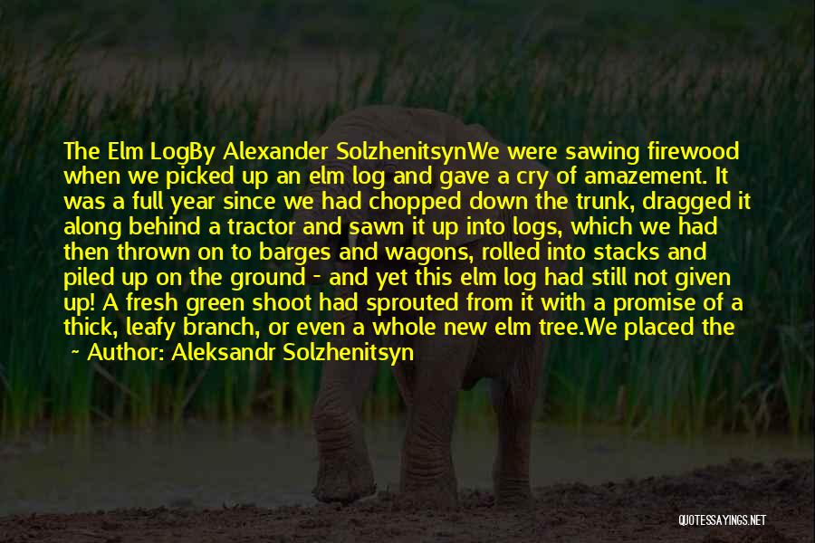 Aleksandr Solzhenitsyn Quotes: The Elm Logby Alexander Solzhenitsynwe Were Sawing Firewood When We Picked Up An Elm Log And Gave A Cry Of