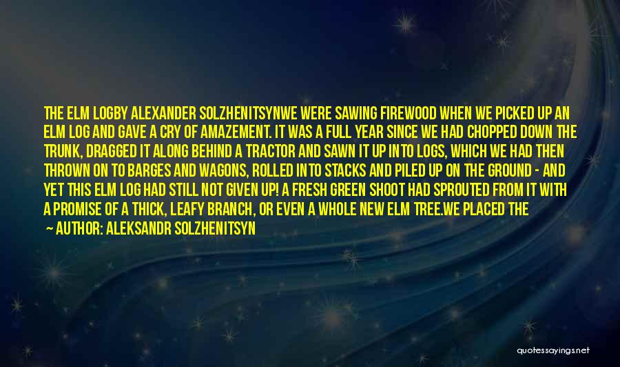 Aleksandr Solzhenitsyn Quotes: The Elm Logby Alexander Solzhenitsynwe Were Sawing Firewood When We Picked Up An Elm Log And Gave A Cry Of