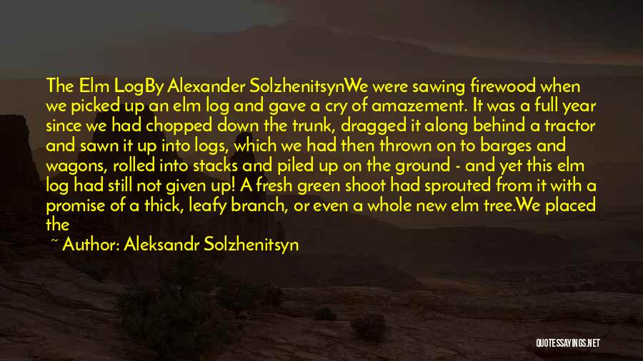 Aleksandr Solzhenitsyn Quotes: The Elm Logby Alexander Solzhenitsynwe Were Sawing Firewood When We Picked Up An Elm Log And Gave A Cry Of