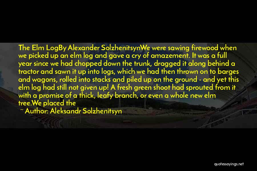 Aleksandr Solzhenitsyn Quotes: The Elm Logby Alexander Solzhenitsynwe Were Sawing Firewood When We Picked Up An Elm Log And Gave A Cry Of