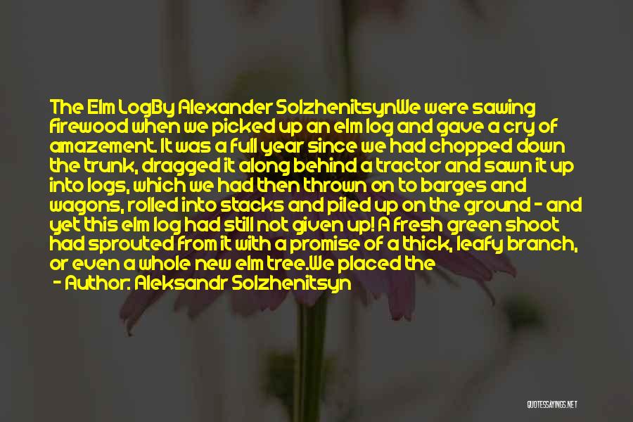 Aleksandr Solzhenitsyn Quotes: The Elm Logby Alexander Solzhenitsynwe Were Sawing Firewood When We Picked Up An Elm Log And Gave A Cry Of