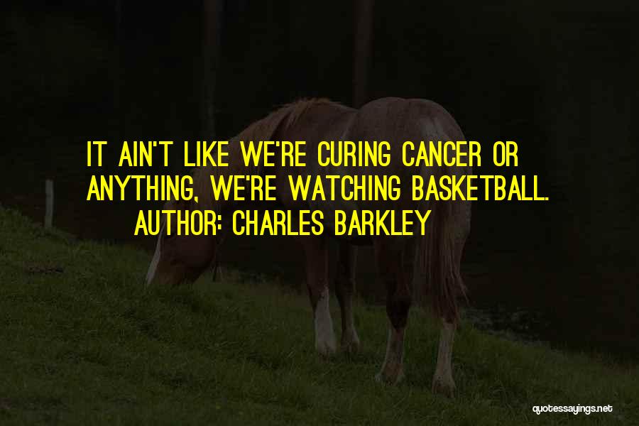 Charles Barkley Quotes: It Ain't Like We're Curing Cancer Or Anything, We're Watching Basketball.