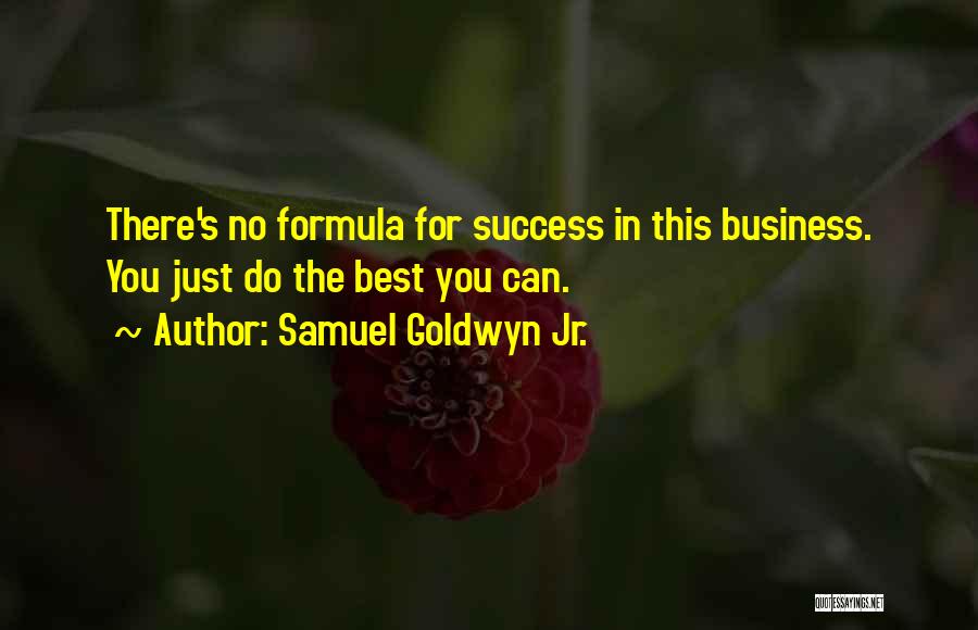 Samuel Goldwyn Jr. Quotes: There's No Formula For Success In This Business. You Just Do The Best You Can.