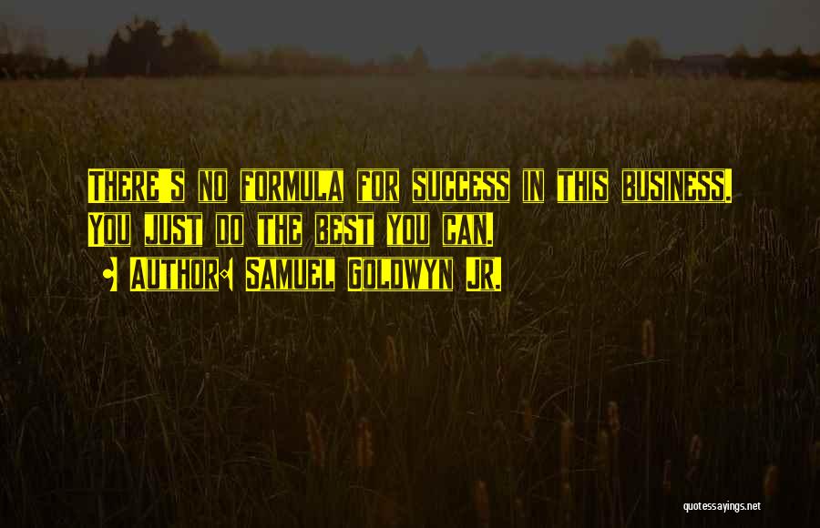 Samuel Goldwyn Jr. Quotes: There's No Formula For Success In This Business. You Just Do The Best You Can.