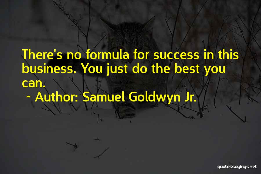 Samuel Goldwyn Jr. Quotes: There's No Formula For Success In This Business. You Just Do The Best You Can.