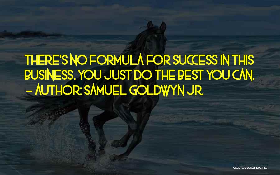 Samuel Goldwyn Jr. Quotes: There's No Formula For Success In This Business. You Just Do The Best You Can.