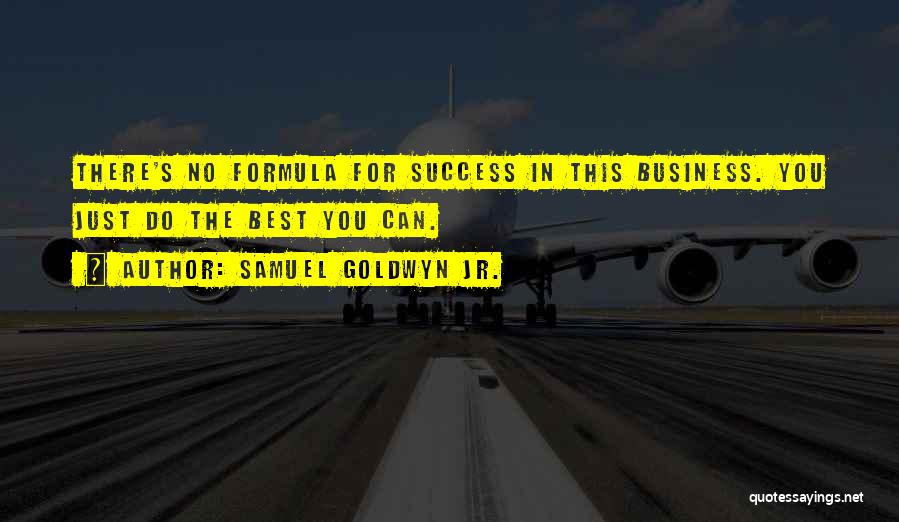 Samuel Goldwyn Jr. Quotes: There's No Formula For Success In This Business. You Just Do The Best You Can.