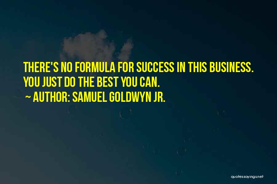 Samuel Goldwyn Jr. Quotes: There's No Formula For Success In This Business. You Just Do The Best You Can.