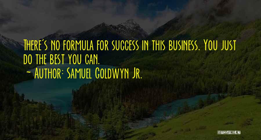 Samuel Goldwyn Jr. Quotes: There's No Formula For Success In This Business. You Just Do The Best You Can.