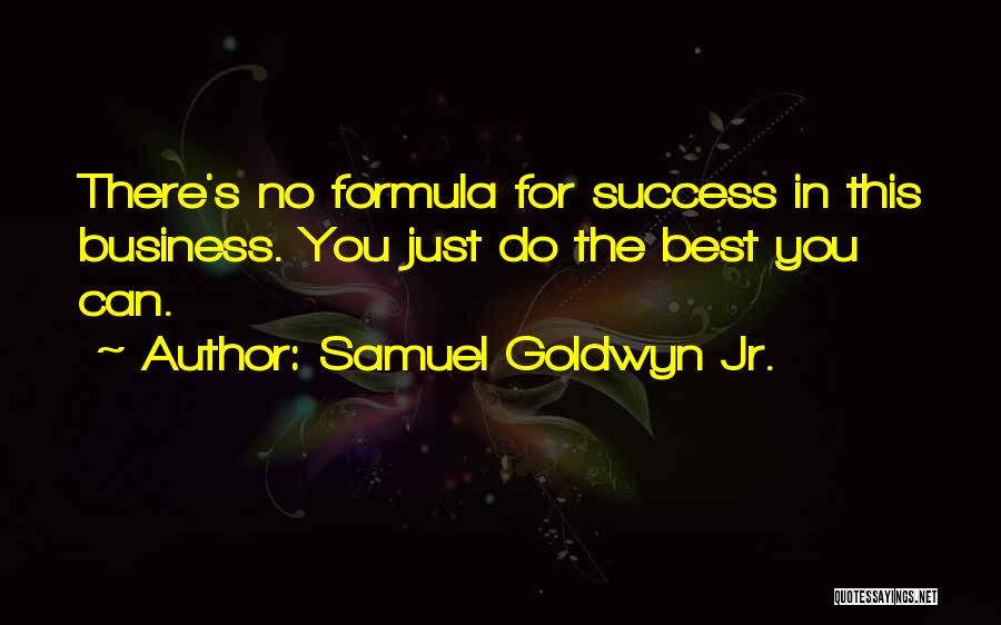 Samuel Goldwyn Jr. Quotes: There's No Formula For Success In This Business. You Just Do The Best You Can.