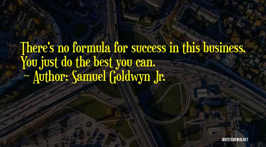 Samuel Goldwyn Jr. Quotes: There's No Formula For Success In This Business. You Just Do The Best You Can.