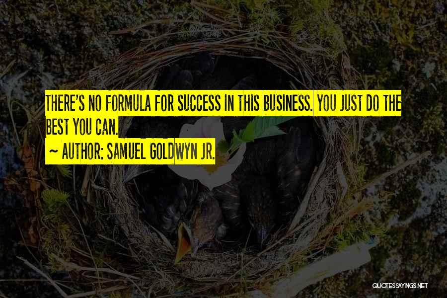 Samuel Goldwyn Jr. Quotes: There's No Formula For Success In This Business. You Just Do The Best You Can.