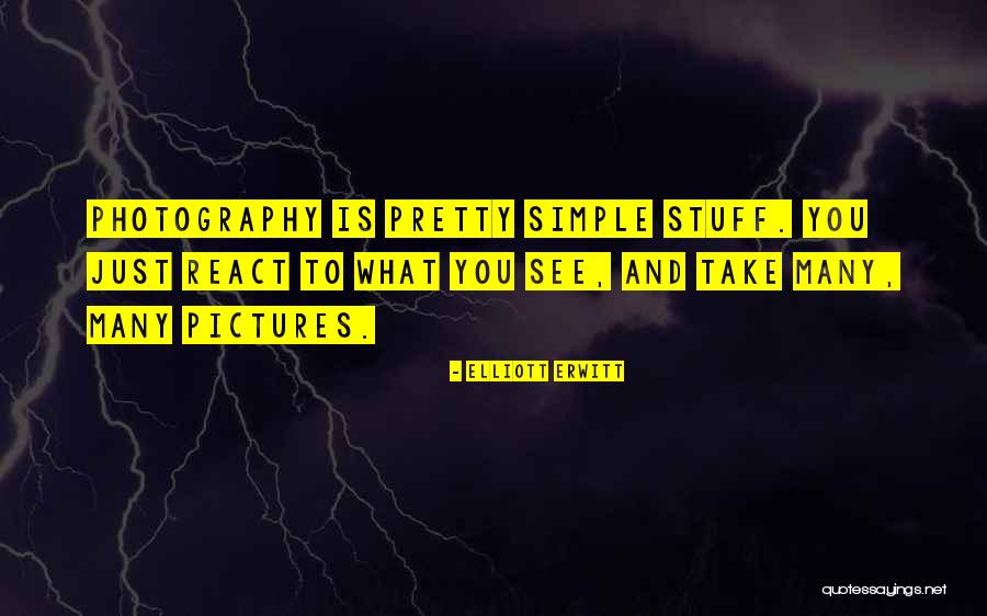 635 Millimeters Quotes By Elliott Erwitt 635 Millimeters Quotes By Elliott Erwitt