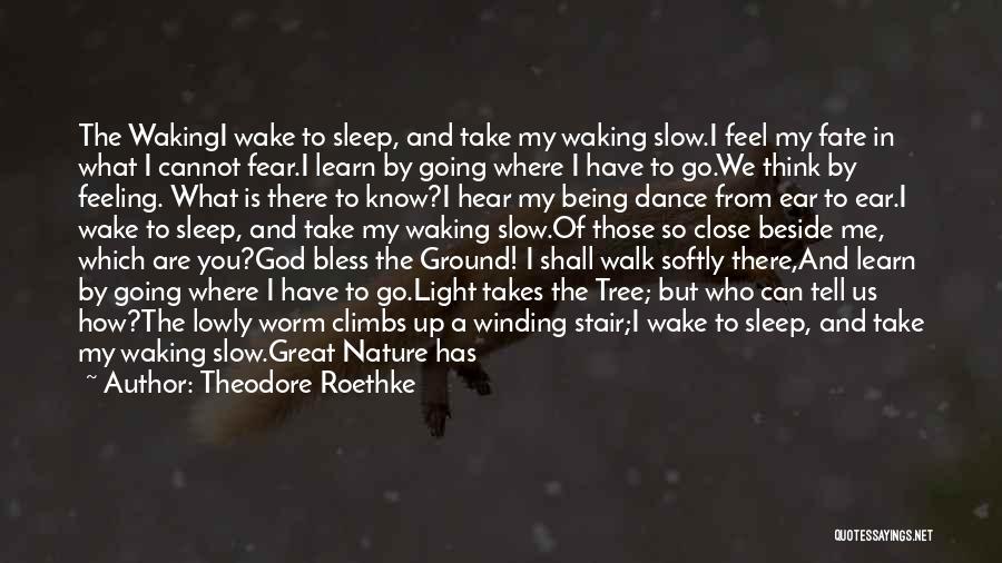 Theodore Roethke Quotes: The Wakingi Wake To Sleep, And Take My Waking Slow.i Feel My Fate In What I Cannot Fear.i Learn By