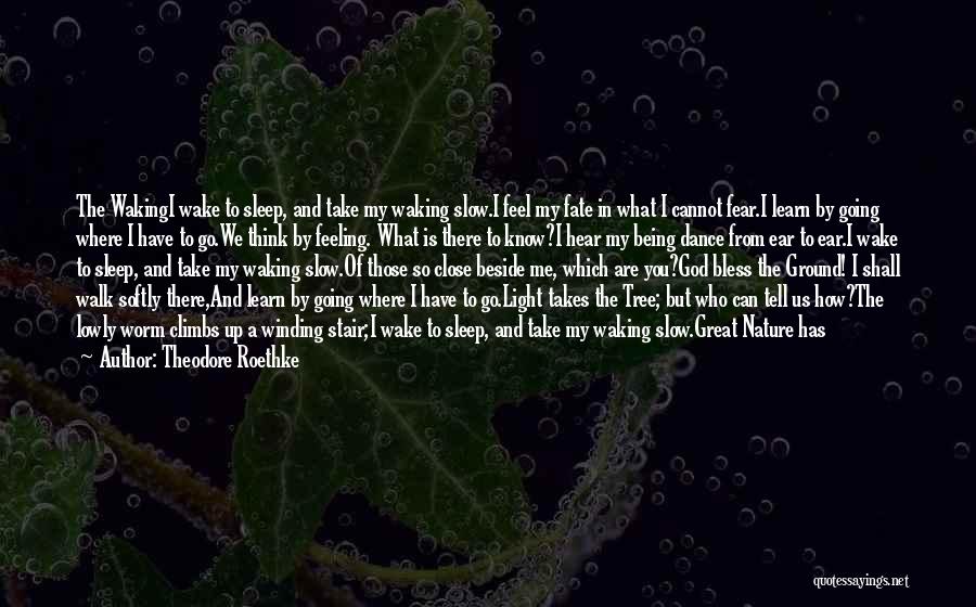 Theodore Roethke Quotes: The Wakingi Wake To Sleep, And Take My Waking Slow.i Feel My Fate In What I Cannot Fear.i Learn By