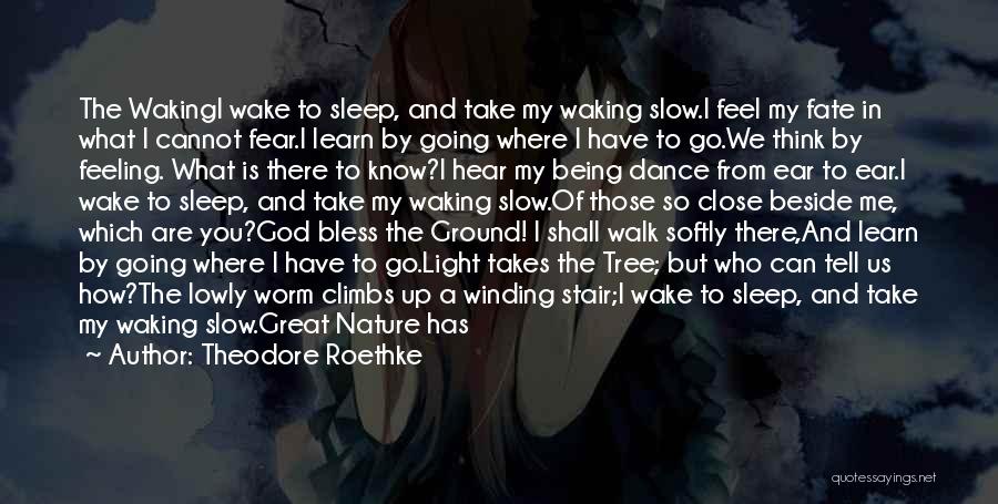 Theodore Roethke Quotes: The Wakingi Wake To Sleep, And Take My Waking Slow.i Feel My Fate In What I Cannot Fear.i Learn By