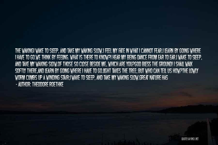 Theodore Roethke Quotes: The Wakingi Wake To Sleep, And Take My Waking Slow.i Feel My Fate In What I Cannot Fear.i Learn By