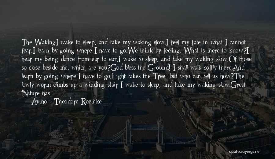 Theodore Roethke Quotes: The Wakingi Wake To Sleep, And Take My Waking Slow.i Feel My Fate In What I Cannot Fear.i Learn By