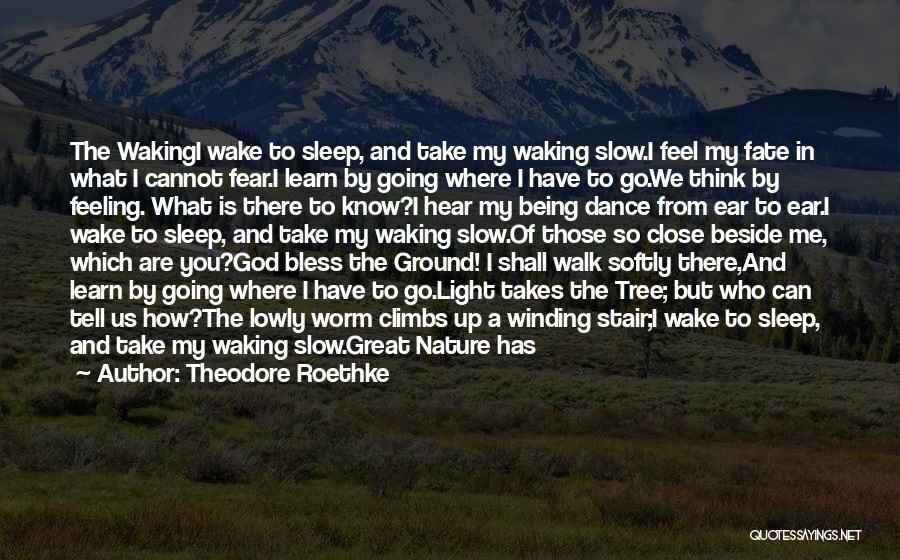 Theodore Roethke Quotes: The Wakingi Wake To Sleep, And Take My Waking Slow.i Feel My Fate In What I Cannot Fear.i Learn By