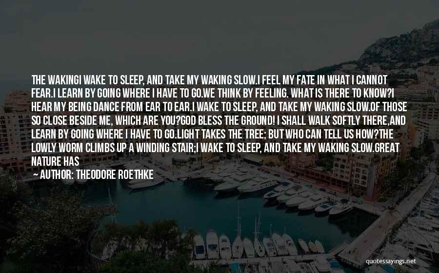 Theodore Roethke Quotes: The Wakingi Wake To Sleep, And Take My Waking Slow.i Feel My Fate In What I Cannot Fear.i Learn By