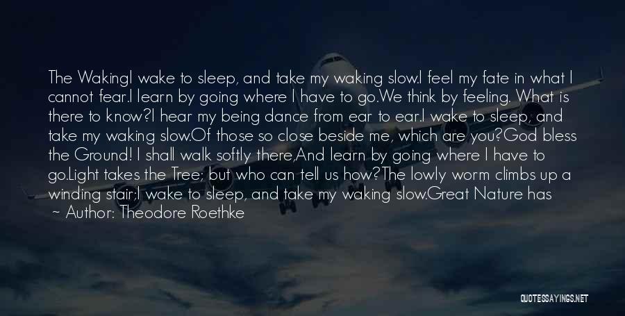 Theodore Roethke Quotes: The Wakingi Wake To Sleep, And Take My Waking Slow.i Feel My Fate In What I Cannot Fear.i Learn By
