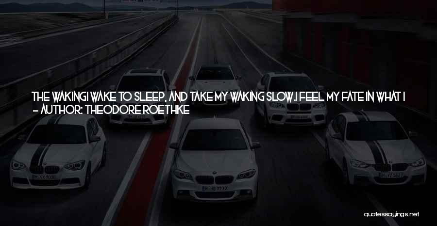 Theodore Roethke Quotes: The Wakingi Wake To Sleep, And Take My Waking Slow.i Feel My Fate In What I Cannot Fear.i Learn By