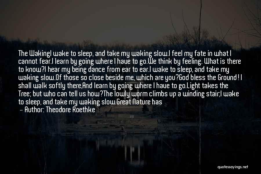 Theodore Roethke Quotes: The Wakingi Wake To Sleep, And Take My Waking Slow.i Feel My Fate In What I Cannot Fear.i Learn By