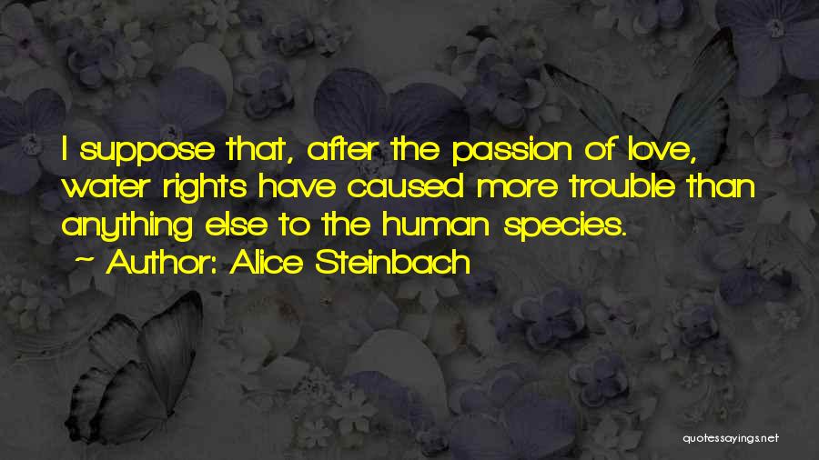 Alice Steinbach Quotes: I Suppose That, After The Passion Of Love, Water Rights Have Caused More Trouble Than Anything Else To The Human