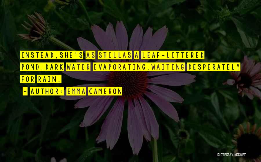 Emma Cameron Quotes: Instead,she's As Stillas A Leaf-littered Pond,dark Water Evaporating,waiting Desperately For Rain.