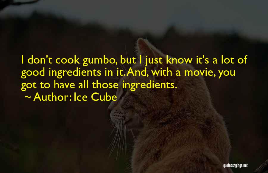 Ice Cube Quotes: I Don't Cook Gumbo, But I Just Know It's A Lot Of Good Ingredients In It. And, With A Movie,