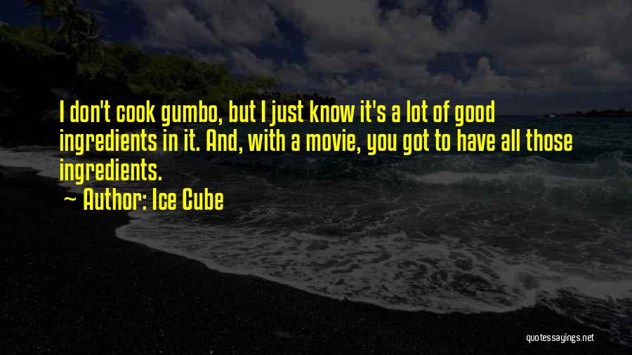 Ice Cube Quotes: I Don't Cook Gumbo, But I Just Know It's A Lot Of Good Ingredients In It. And, With A Movie,