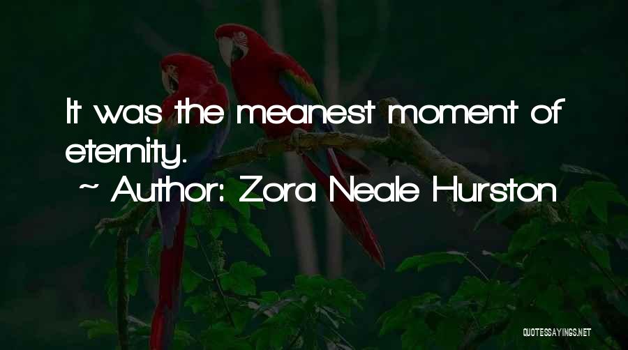 Zora Neale Hurston Quotes: It Was The Meanest Moment Of Eternity.