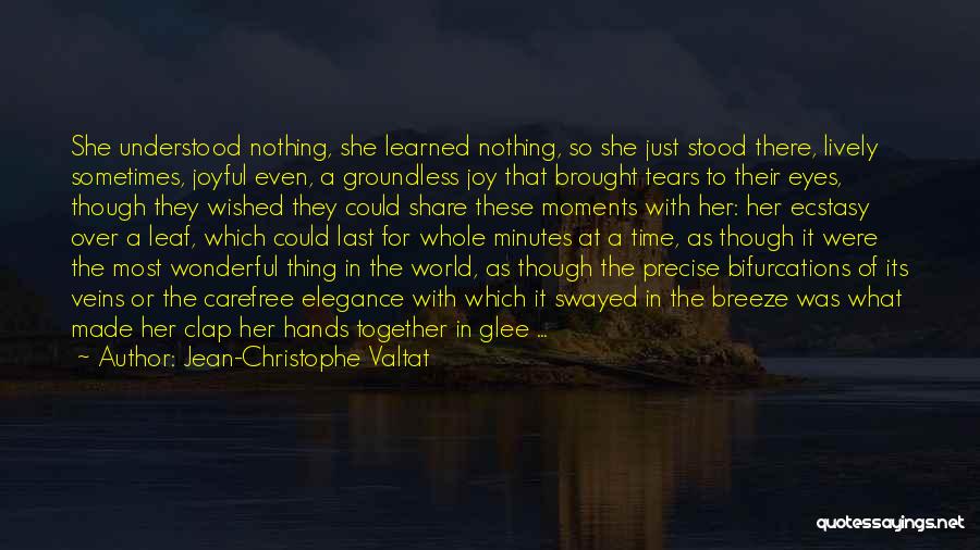 Jean-Christophe Valtat Quotes: She Understood Nothing, She Learned Nothing, So She Just Stood There, Lively Sometimes, Joyful Even, A Groundless Joy That Brought