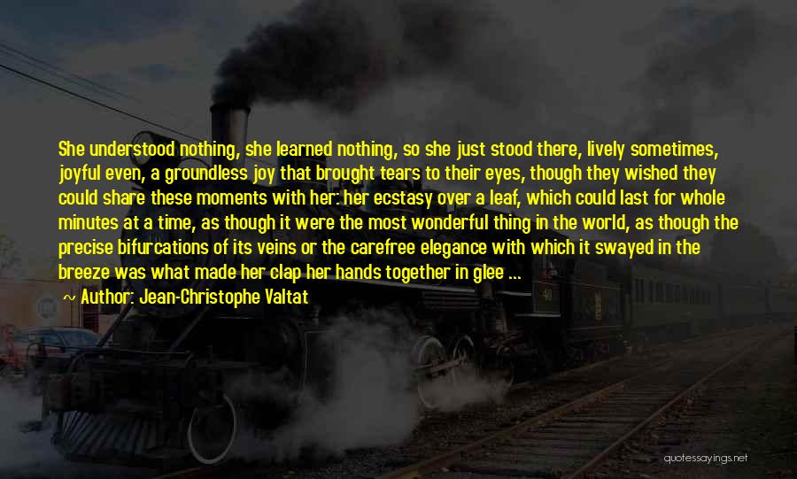 Jean-Christophe Valtat Quotes: She Understood Nothing, She Learned Nothing, So She Just Stood There, Lively Sometimes, Joyful Even, A Groundless Joy That Brought