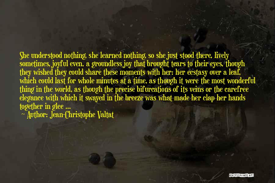 Jean-Christophe Valtat Quotes: She Understood Nothing, She Learned Nothing, So She Just Stood There, Lively Sometimes, Joyful Even, A Groundless Joy That Brought