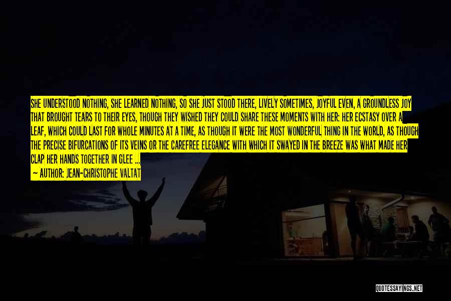 Jean-Christophe Valtat Quotes: She Understood Nothing, She Learned Nothing, So She Just Stood There, Lively Sometimes, Joyful Even, A Groundless Joy That Brought