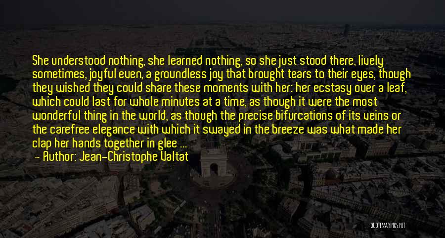 Jean-Christophe Valtat Quotes: She Understood Nothing, She Learned Nothing, So She Just Stood There, Lively Sometimes, Joyful Even, A Groundless Joy That Brought