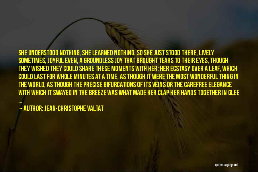 Jean-Christophe Valtat Quotes: She Understood Nothing, She Learned Nothing, So She Just Stood There, Lively Sometimes, Joyful Even, A Groundless Joy That Brought