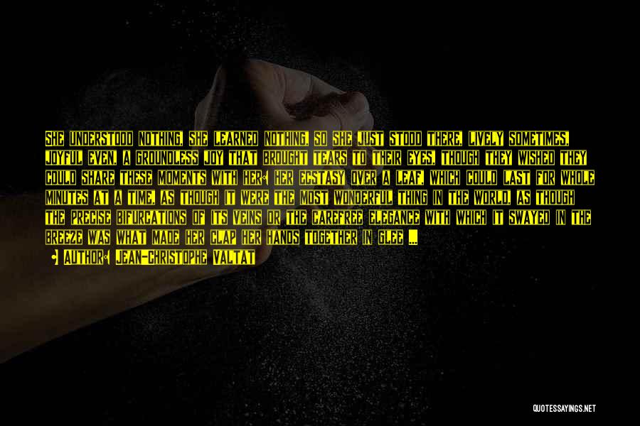 Jean-Christophe Valtat Quotes: She Understood Nothing, She Learned Nothing, So She Just Stood There, Lively Sometimes, Joyful Even, A Groundless Joy That Brought